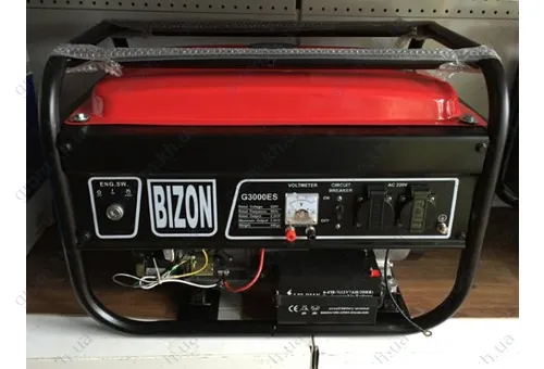 Фото 1- Бензиновый генератор Bizon G3000ES