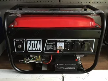 Фото 1- Бензиновий генератор Bizon G3000ES
