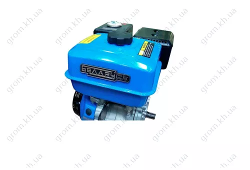 Фото 1- Двигатель бензиновый Беларусь 177F (9,0 л.с. 25 вал, без шкива)