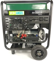Генератор Iron Angel EG12000EA30