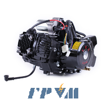 Двигатель Дельта/Альфа/Актив (110CC) - механика (с электростартером и карбюратором) BLACK - TATA LUX