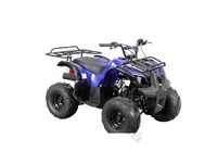 Квадроцикл Spark SP110-3 (колір чорний, синій) зібраний