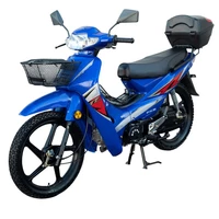 Мотоцикл Spark SP110С-3WQ