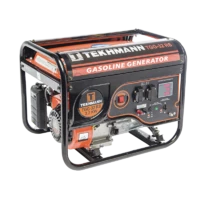 Генератор бензиновый Tekhmann TGG-32 RS
