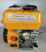 Двигун Forte F210G