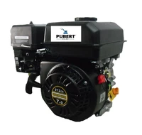 Двигатель бензиновый Pubert R210 BHOHV