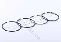 Кольца Ø100,0 mm STD - ZS/ZH1100