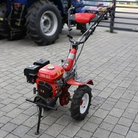 Культиватор бензиновий Forte 100-G3 7 л. червоний